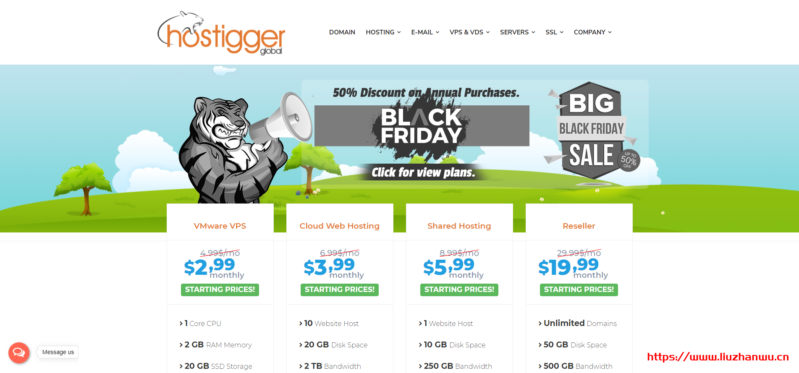 【黑五】Hostigger：$17.94/年/2GB内存/20GB SSD空间/2TB流量/1Gbps端口/VMware/土耳其-博悦天下