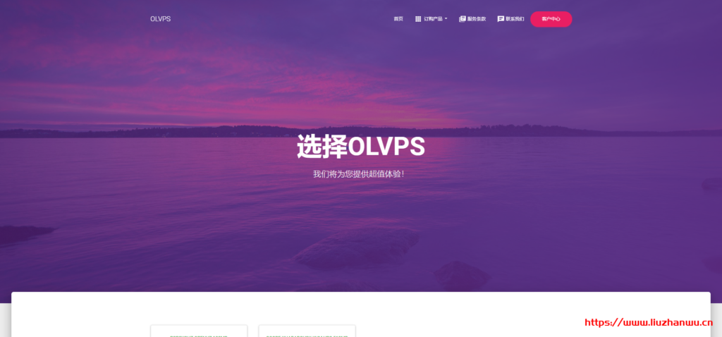 OLVPS：双11优惠，有香港LeaseWeb、伯力等KVM VPS-博悦天下