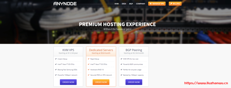 #黑5# anynode：拉斯维加斯VPS，低至$8/年，KVM/512M内存/1核/10gSSD/1T流量-博悦天下