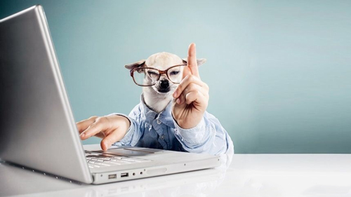 如何做好网站seo优化