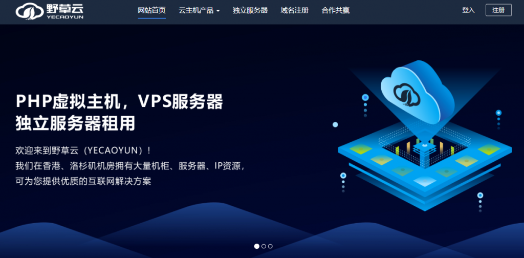 #便宜#野草云2020开年大促:香港直连VPS、美国CN2 GIA线路VPS低至128元/年-博悦天下