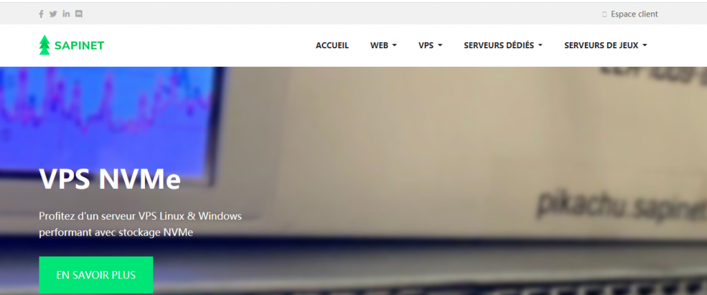 Sapinet：€3/月/2核/2GB内存/30GB NVMe空间/不限流量/100Mbps-500Mbps端口/DDOS/KVM/德国