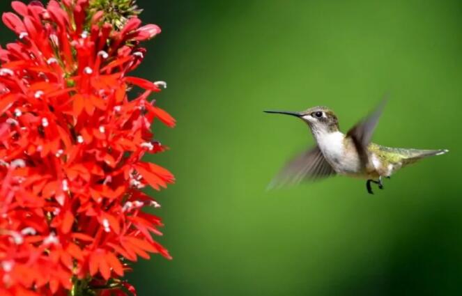 最好用的WordPress图片压缩插件对比评测