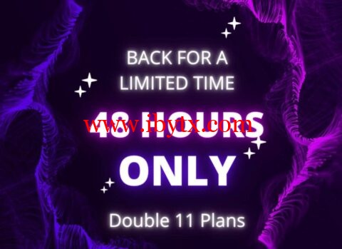 RackNerd：48小时闪购，重开2021双十一套餐，1核/1G/10G SSD/2T/1Gbps/年付$12，多机房可选，限量销售-博悦天下