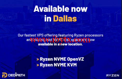 #上新#DediPath：美国便宜vps，达拉斯机房，AMD Ryzen VPS，1核/512M内存/10G NVME硬盘/1TB流量/1Gbps带宽，$44.00/年-博悦天下