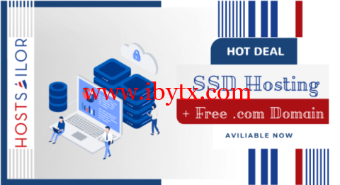 HostSailor：荷兰SSD硬盘托管主机，1Gbps 带宽，$23.99/年，送免费域名-博悦天下