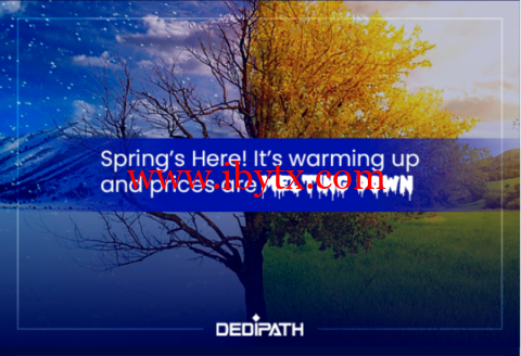 DediPath：洛杉矶高防服务器，E3-1240v2/16GB内存/2TB硬盘/不限流量/1Gbps带宽，$39/月起-博悦天下