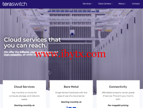 TeraSwitch：美国华盛顿机房vps，1核@AMD EPYC/1GB内存/20GB/10TB流量/1Gbps带宽，$4/月起，按小时付费，随时更换IP-博悦天下