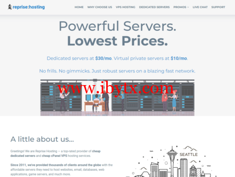 RepriseHosting：西雅图独服，2*L5640/32G内存/2*960G SSD/50TB@1Gbps带宽，$37/月-博悦天下