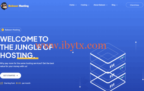 BaboonHosting：荷兰VPS，€12.99/年起，荷兰IPv6 vps年付5欧元起-博悦天下